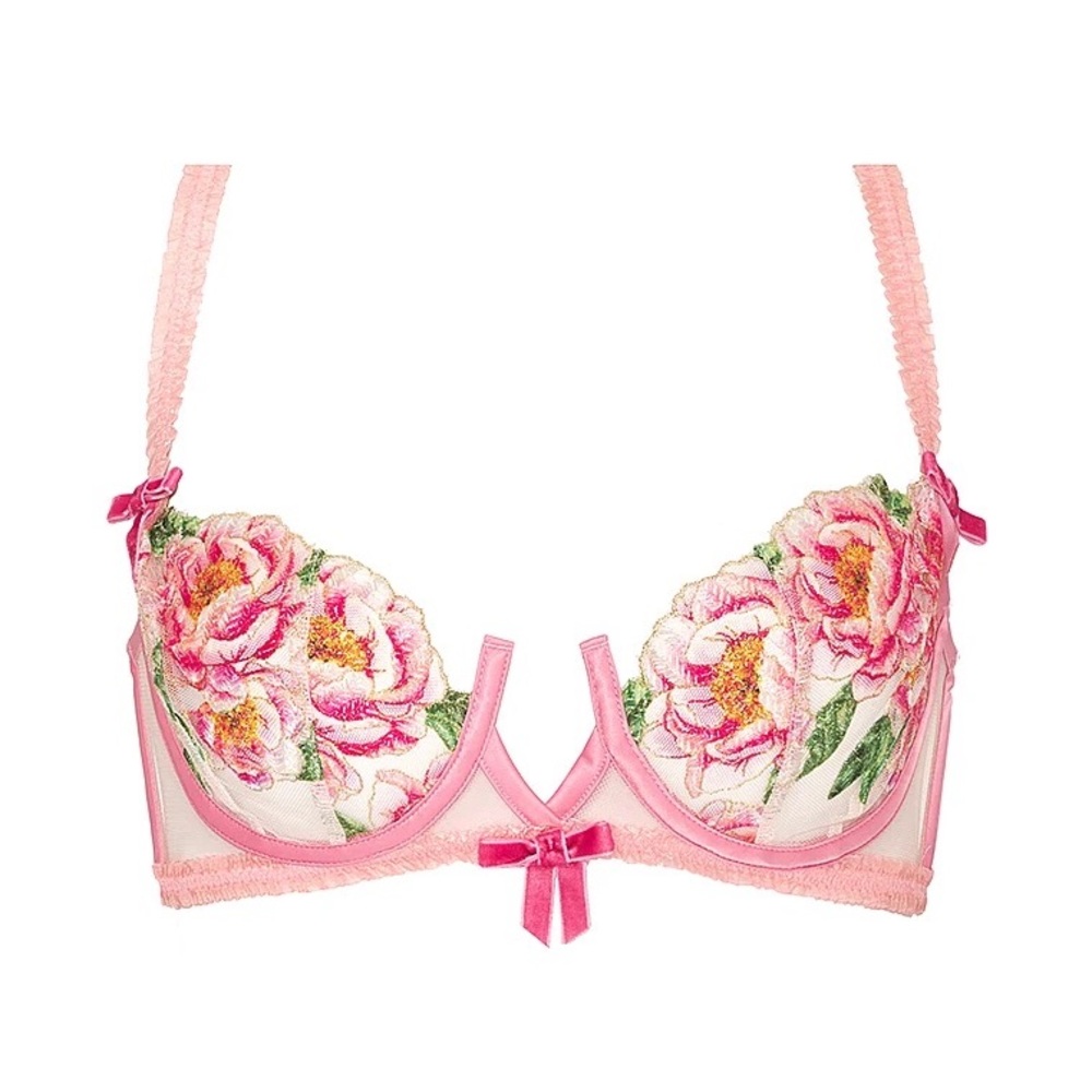For Love And Lemons Pink Needle Point Roses Underwire Floral Embroidered Bra